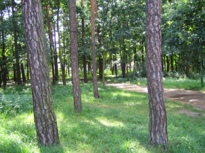 Baza ośrodka