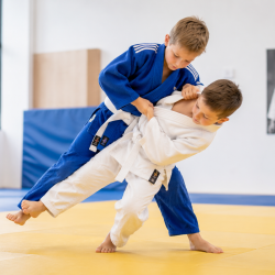 judo
